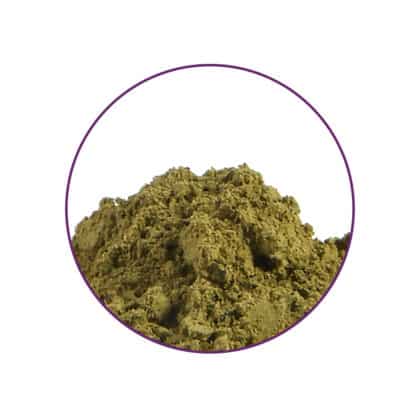 Kratom Inhalt McMystic