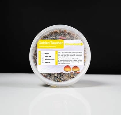 Golden-Teacher-Small-Growkit-Label