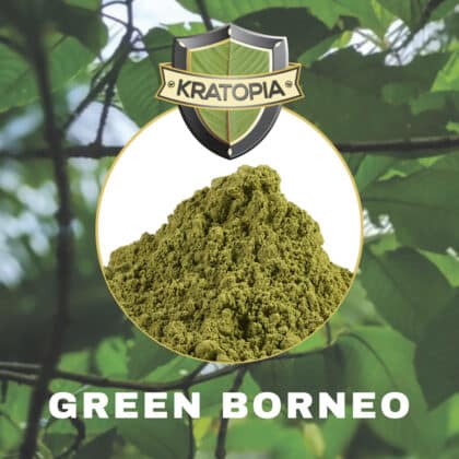 Grün Borneo Inhalt Kratopia