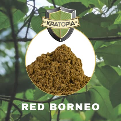 Red Borneo Kratom Inhalt Kratopia