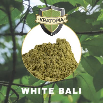 White Bali Kratom Inhalt Kratopia