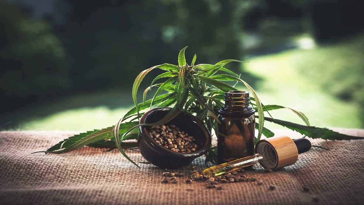 The versatility of CBD oil: from relaxation to pain relief