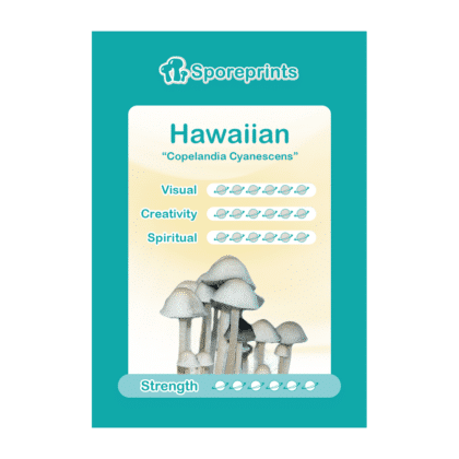 Hawaiian Sporenafdruk 1