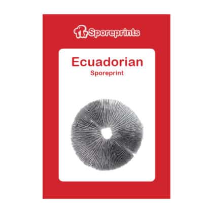 Ecuadorian Spore 1