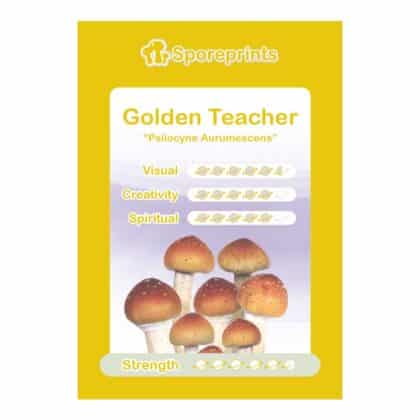 Golden Teacher Sporeprint Vista anteriore