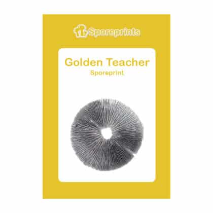 Golden Teacher Stampa di spore Lato posteriore