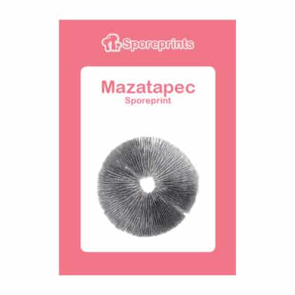 Mazatapec Sporenafdruk 1