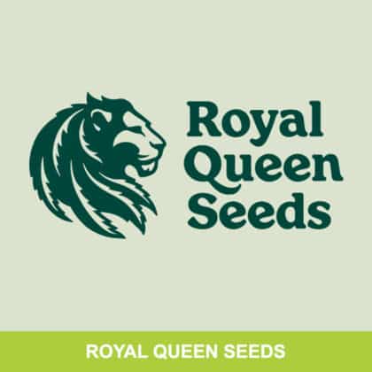 Royal Queen Seeds