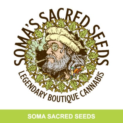 Soma Sacred Seeds