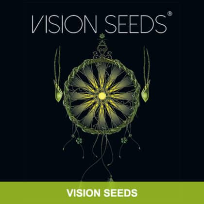 Vision Seeds